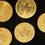 Gold Canadian Maple Leafs